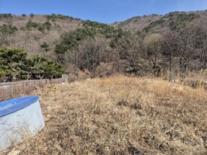 경주지원 2026타경35-1 사진