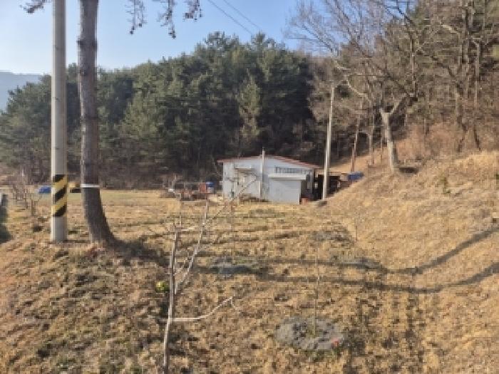 경주지원 2026타경10032-1 사진