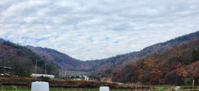 김천지원 2024타경17655-2 사진