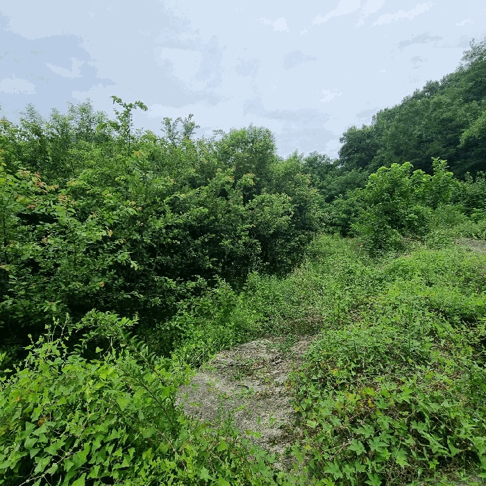 김천지원 2025타경11300-1 사진