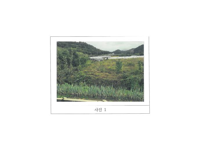 김천지원 2025타경11382-1 사진