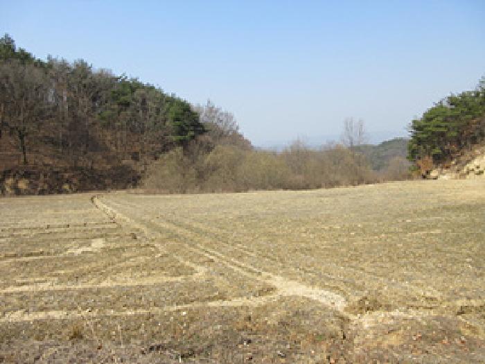 상주지원 2025타경127-3 사진