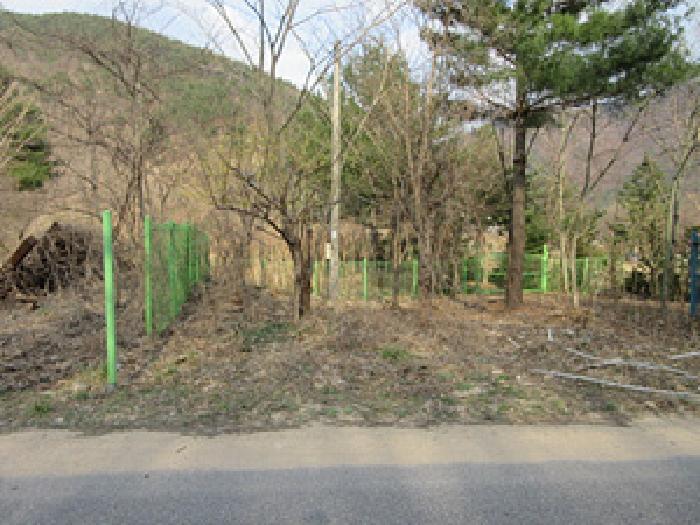 상주지원 2025타경147-1 사진