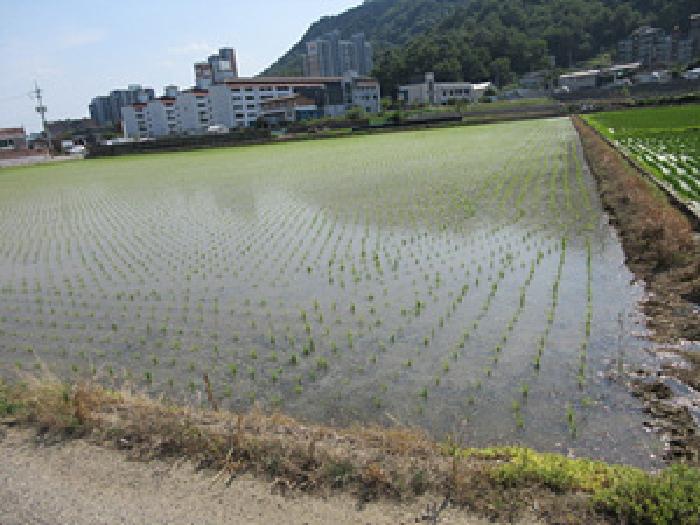 상주지원 2025타경184-1 사진