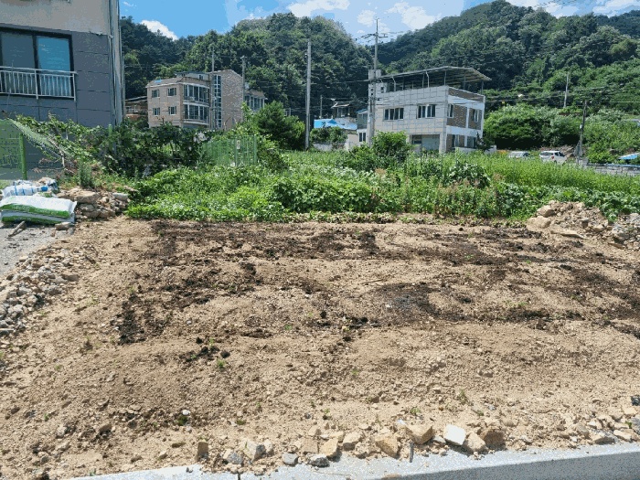 상주지원 2025타경201-1 사진
