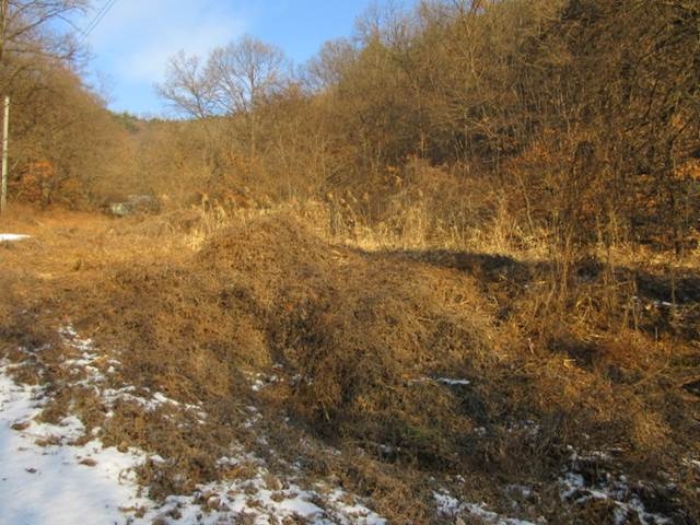 상주지원 2025타경5058-1 사진