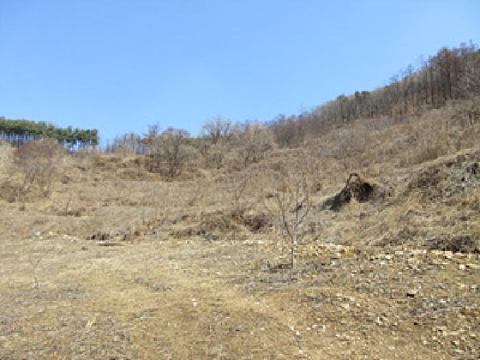 상주지원 2025타경5240-2 사진