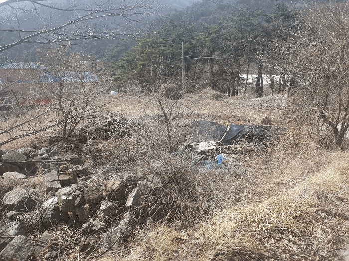 상주지원 2025타경5246-1 사진