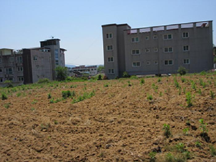 상주지원 2025타경5312-1 사진
