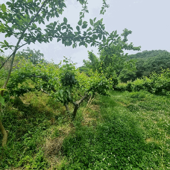상주지원 2025타경5315-1 사진