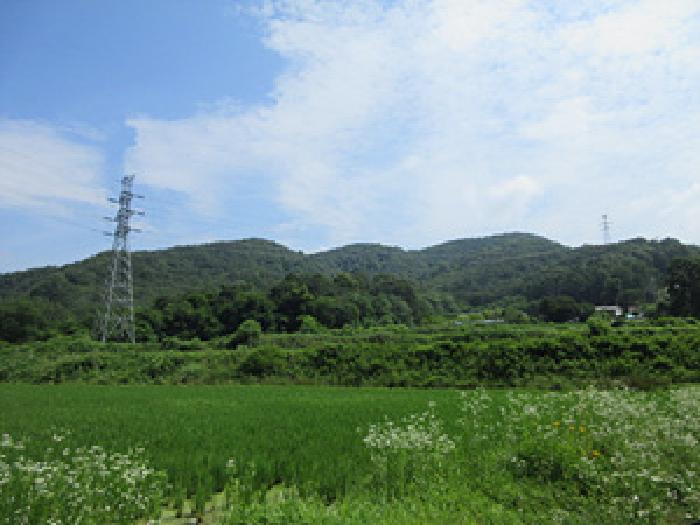 상주지원 2025타경5345-1 사진