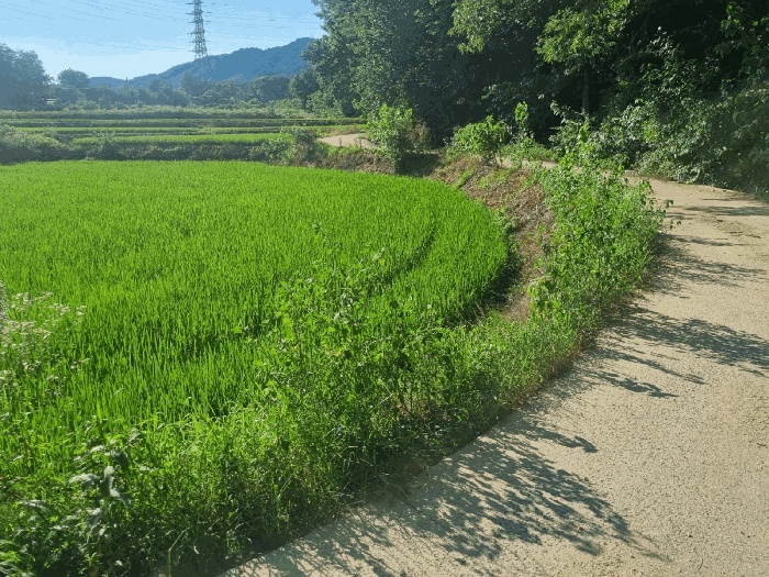 상주지원 2025타경5363-1 사진