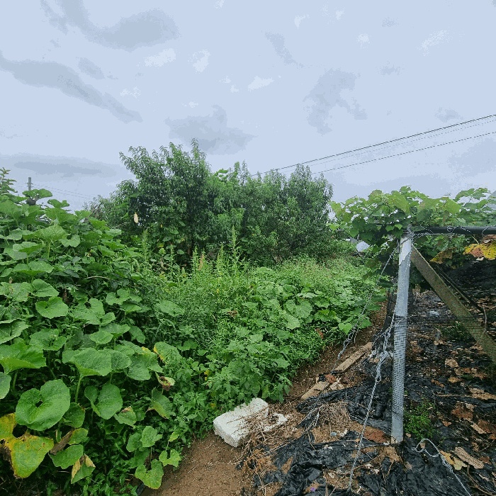 상주지원 2025타경5399-1 사진