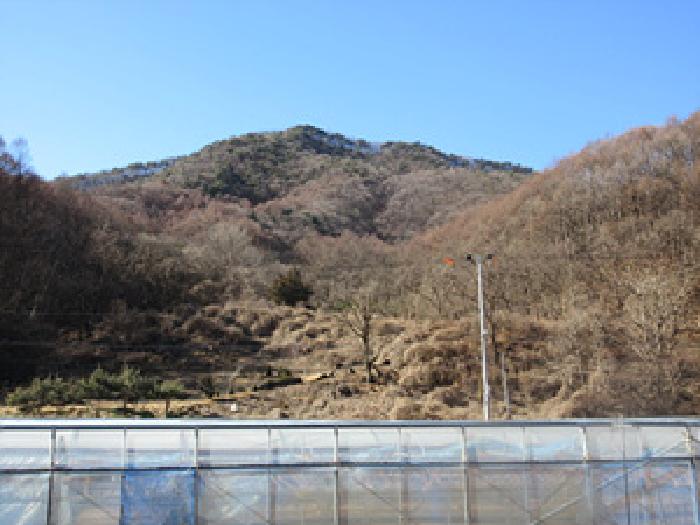 상주지원 2026타경3004-1 사진