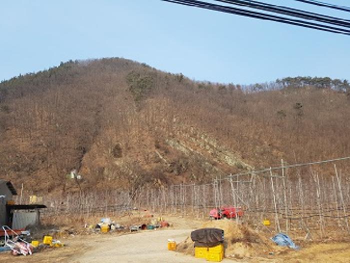 의성지원 2025타경10060-3 사진