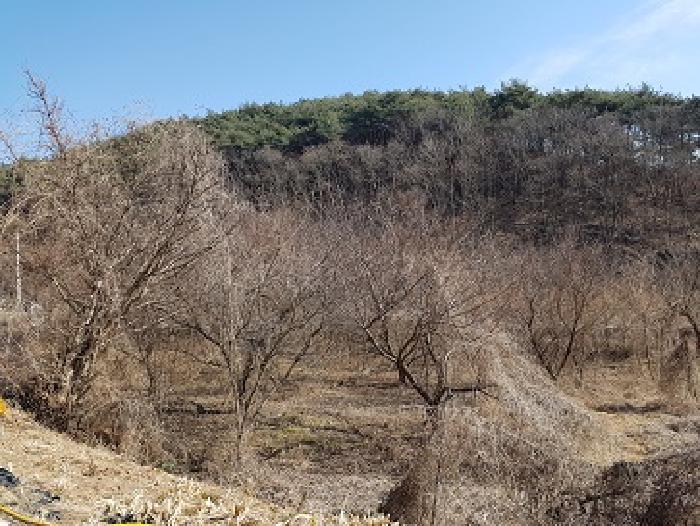 의성지원 2025타경10130-1 사진