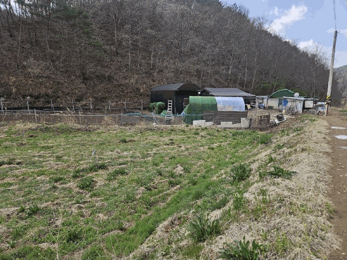 의성지원 2025타경10152-1 사진
