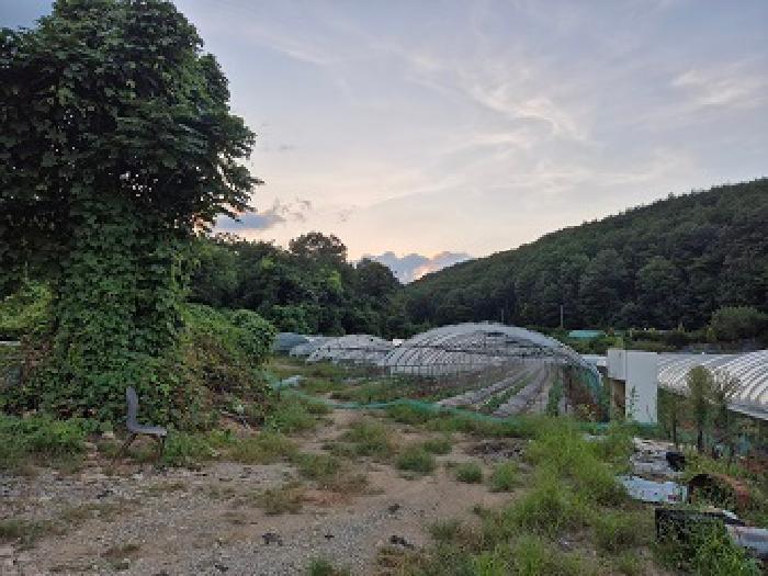 의성지원 2025타경10264-1 사진