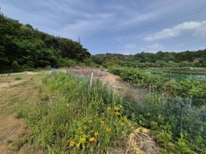 포항지원 2025타경379-3 사진