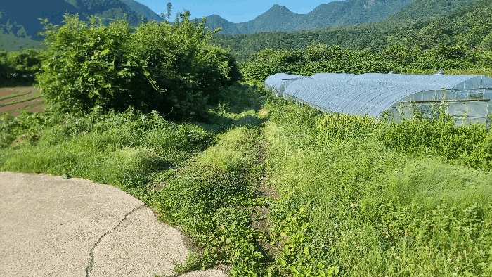 포항지원 2025타경390-1 사진