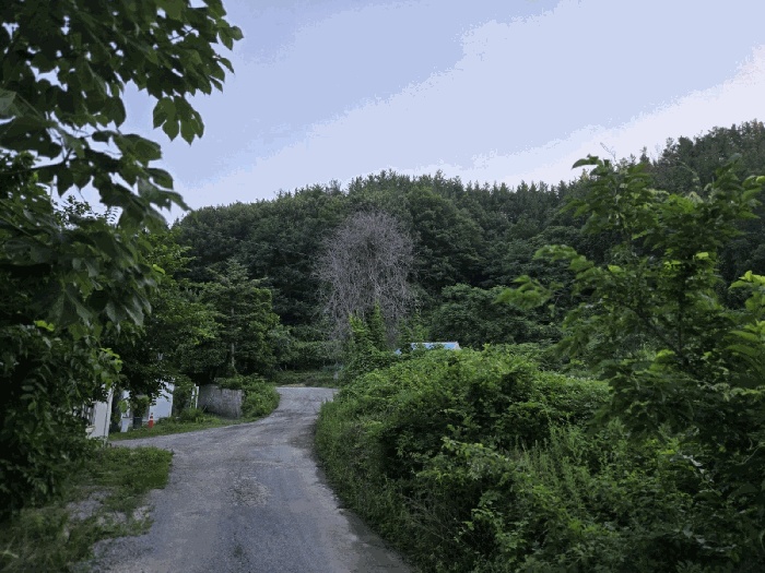 포항지원 2025타경436-1 사진