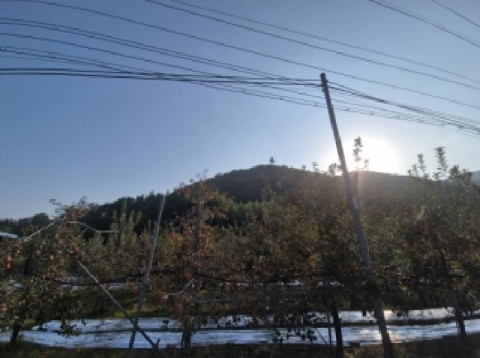 포항지원 2025타경544-1 사진