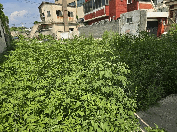 포항지원 2025타경3965-1 사진