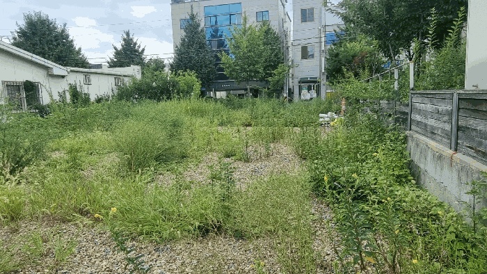 포항지원 2025타경3973-1 사진