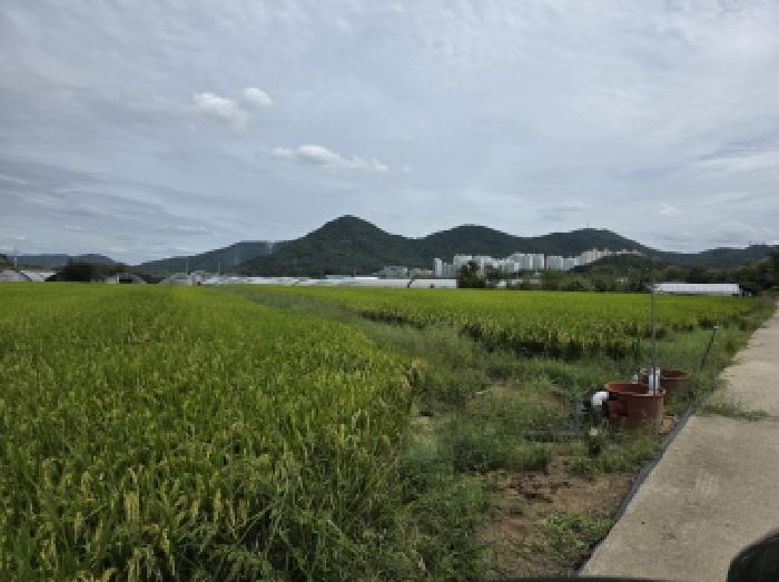 대구서부지원 2025타경2641-1 사진