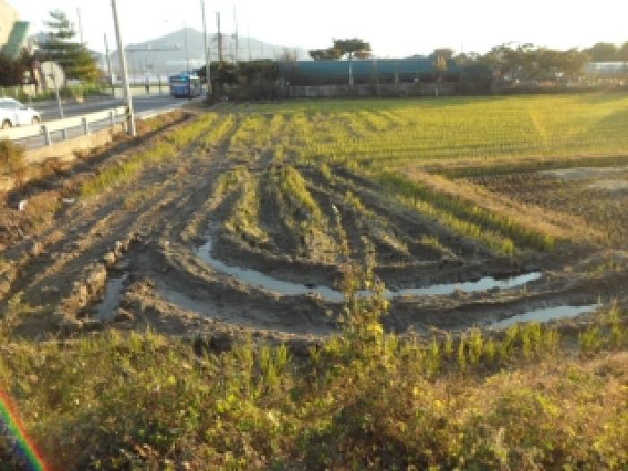 대구서부지원 2025타경3606-1 사진