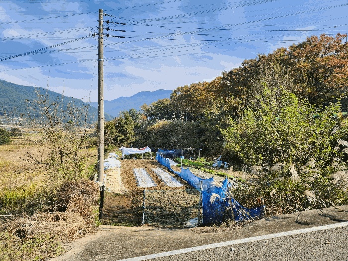 대구서부지원 2025타경31933-1 사진