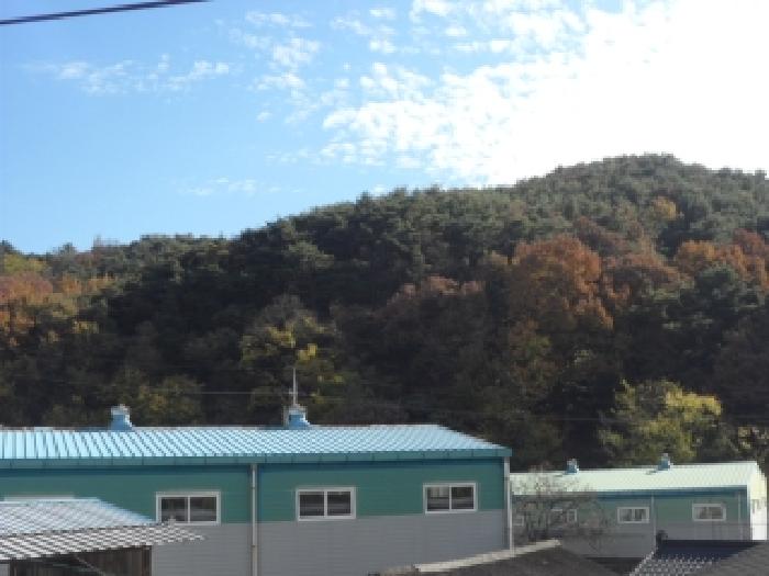 대구서부지원 2025타경31954-1 사진