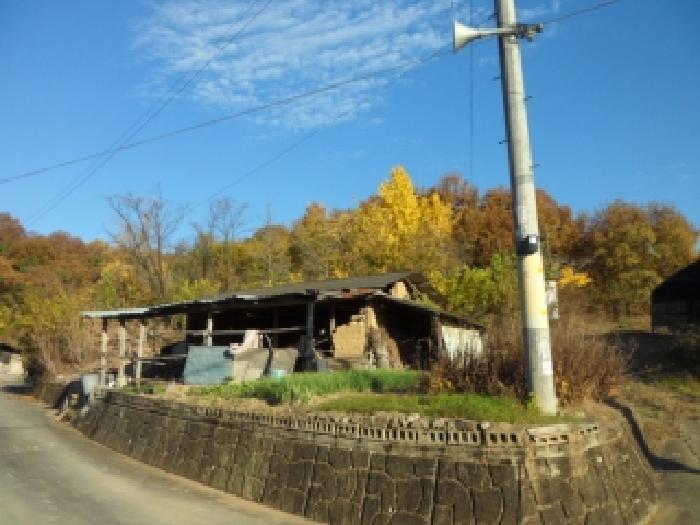 대구서부지원 2025타경31994-1 사진