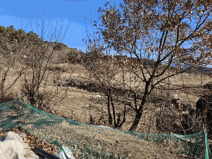 대구서부지원 2025타경32283-1 사진