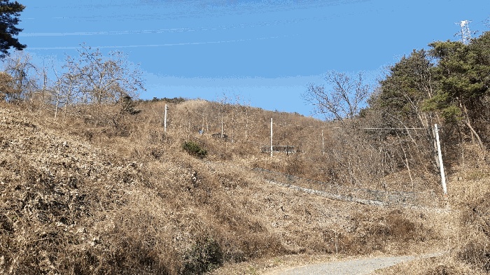 대구서부지원 2025타경32289-1 사진