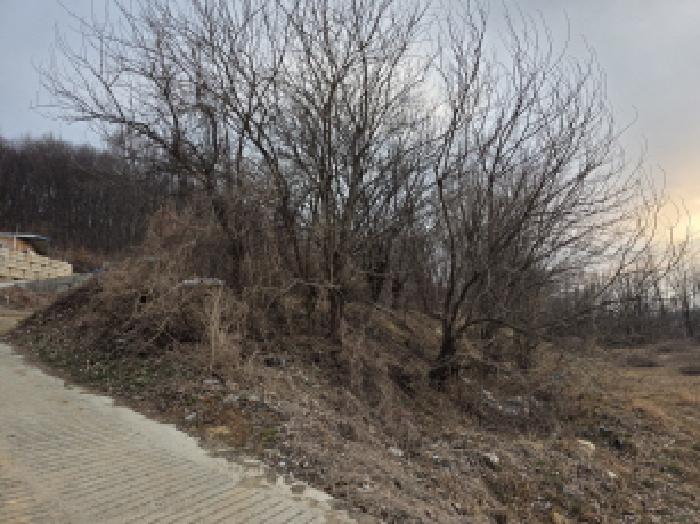 대구서부지원 2026타경1-1 사진