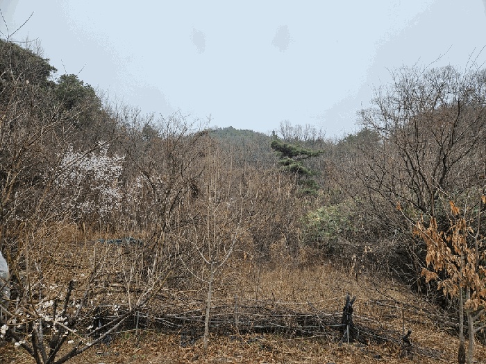 대구서부지원 2026타경64-1 사진