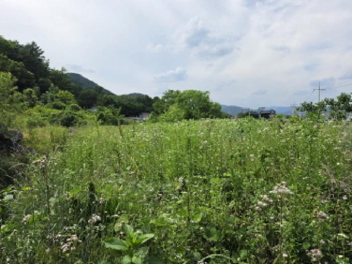 대구서부지원 2026타경114-1 사진