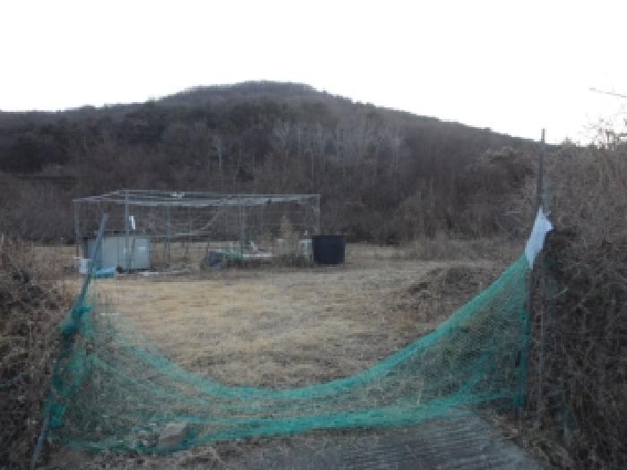 대구서부지원 2026타경3021-1 사진