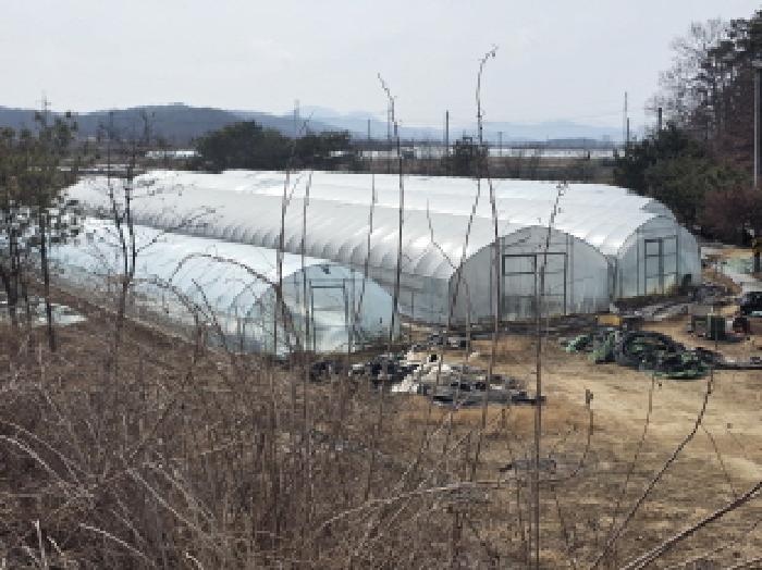 대구서부지원 2026타경3074-1 사진