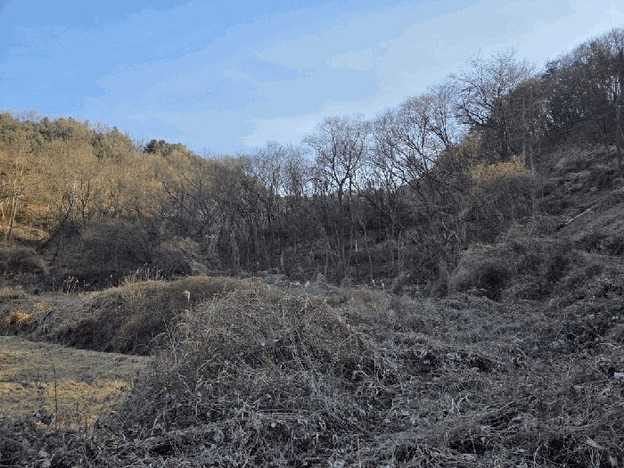 대구서부지원 2026타경3122-1 사진
