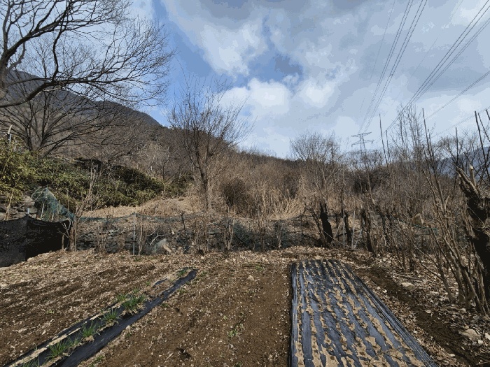 대구서부지원 2026타경3187-2 사진