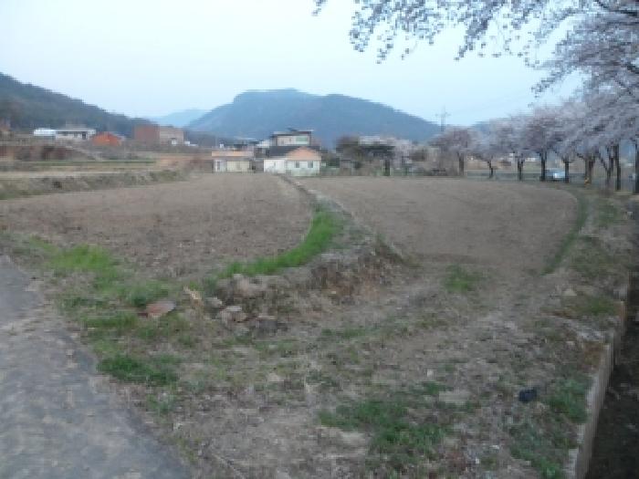 대구서부지원 2026타경3276-2 사진