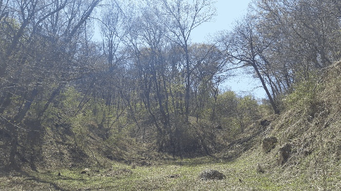 대구서부지원 2026타경3385-1 사진