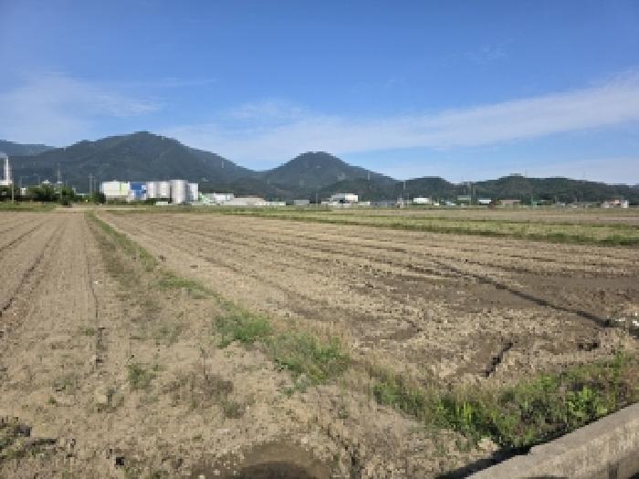 대구서부지원 2026타경3633-1 사진