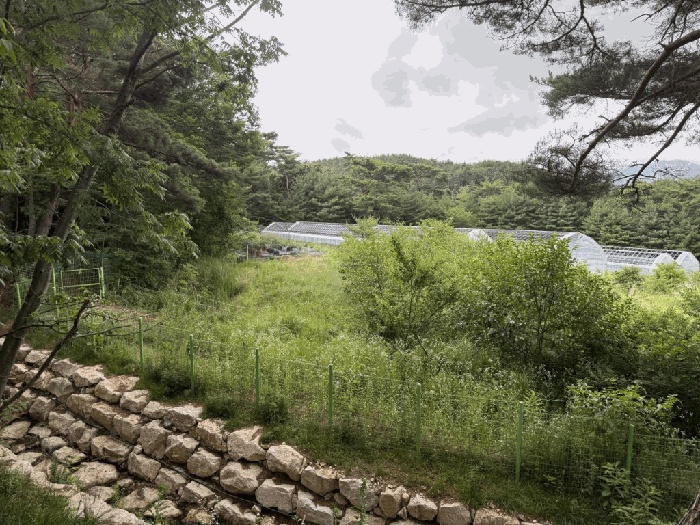 부산지법 2025타경2339-1 사진