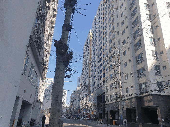 2026타경10236-1 사진