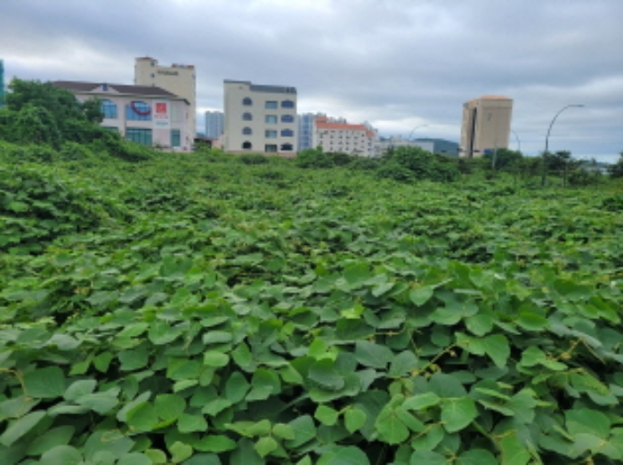 울산지법 2023타경6033-1 사진