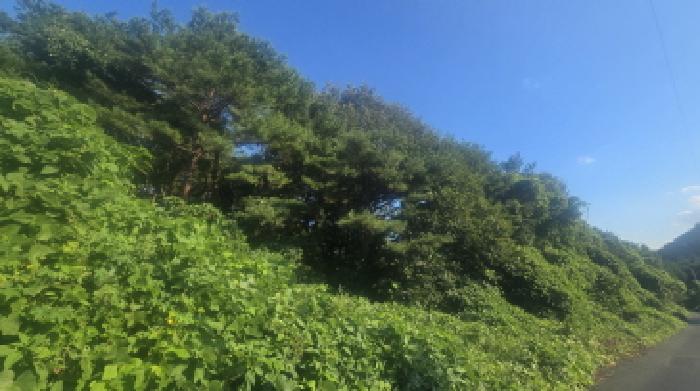 울산지법 2023타경6651-1 사진