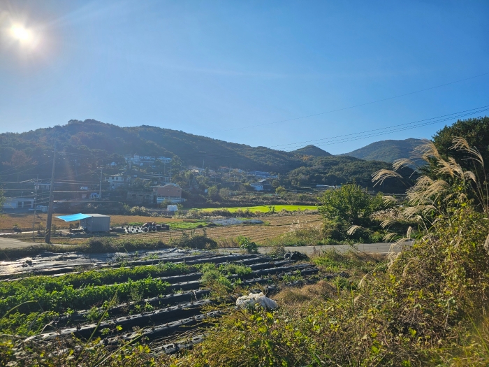 울산지법 2024타경118018-1 사진